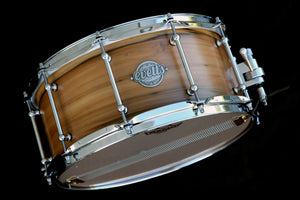 14x6.5 Spotted Gum Snare Drum - Blackheart Sassafras Outer Ply