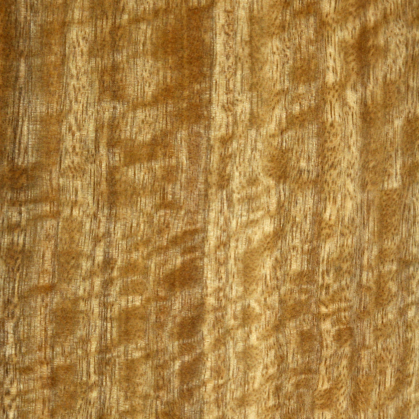 Spotted Gum veneer sample