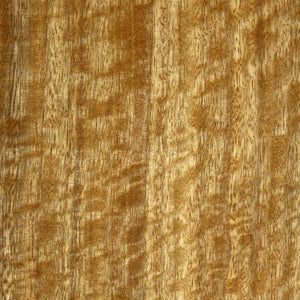 Spotted Gum veneer sample